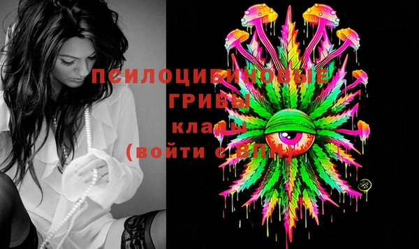 скорость Алексин