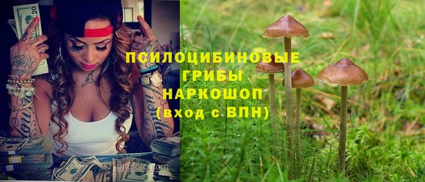 скорость Алексин