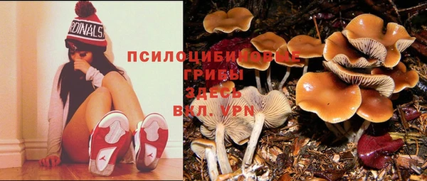 скорость Алексин