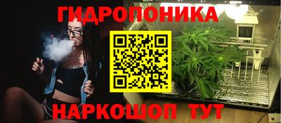а пвп мука Кингисепп