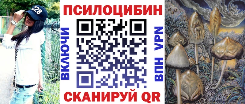 Псилоцибиновые грибы Magic Shrooms маркетплейс как зайти Кизилюрт