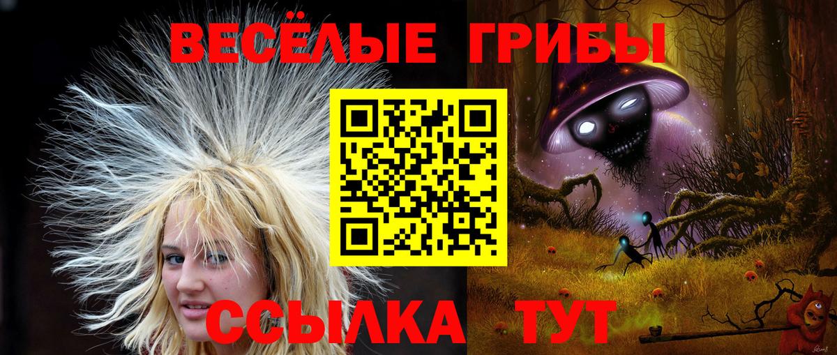 Кизилюрт  Галлюциногенные грибы Cubensis  Псилоцибиновые грибы ЛСД  Вход с VPN 